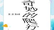 人美版一年级下册11.奇妙的爬行优质ppt课件