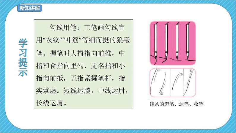 第七课 工笔花卉 课件+教案08