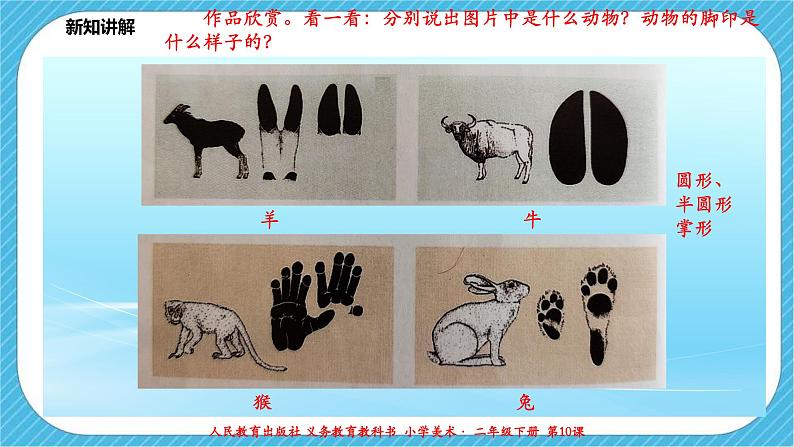 人教版 美术 二年级下册 第十课《脚印的联想》课件第5页