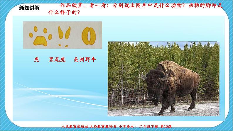 人教版 美术 二年级下册 第十课《脚印的联想》课件第6页