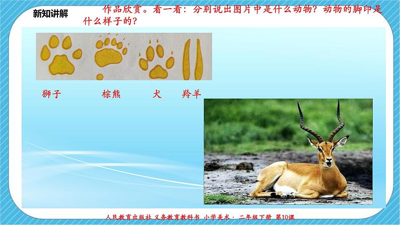 人教版 美术 二年级下册 第十课《脚印的联想》课件第7页
