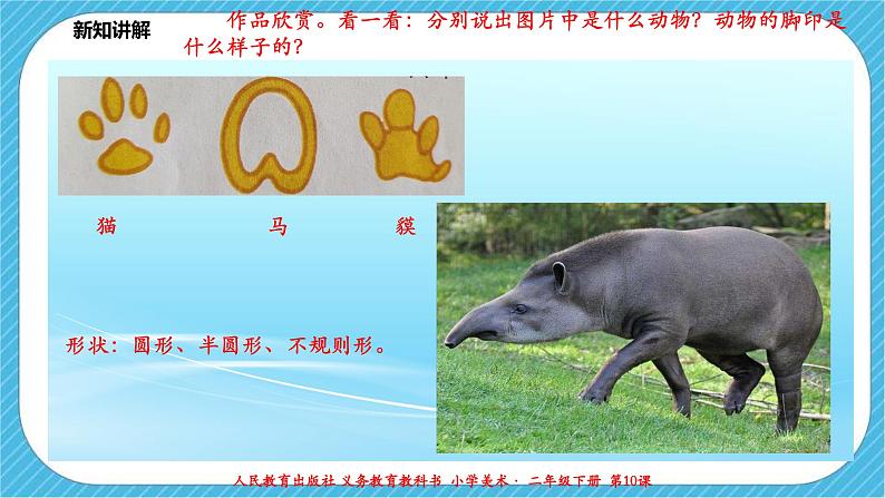 人教版 美术 二年级下册 第十课《脚印的联想》课件第8页