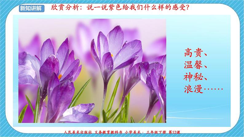 人美版美术三年级下册第十二课《绿色和紫色的画》课件第7页