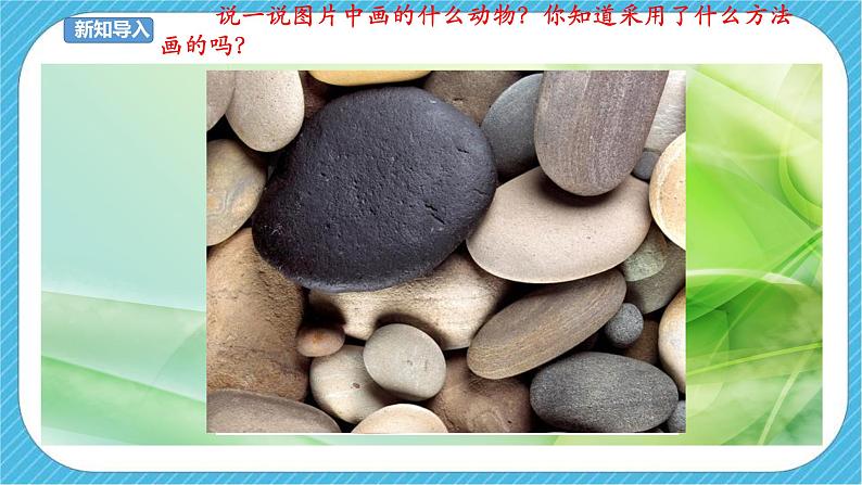 第十五课《卵石动物造型》课件+教案+说课课件+说课教案02
