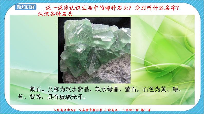 第十五课《卵石动物造型》课件+教案+说课课件+说课教案04