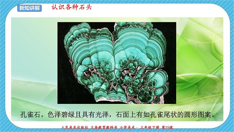第十五课《卵石动物造型》课件+教案+说课课件+说课教案05