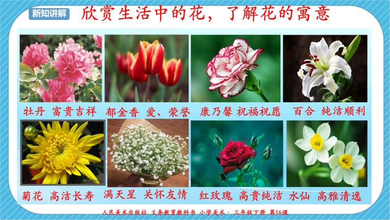 第十六课《生活与艺术中的花》课件+教案+说课课件+说课教案05