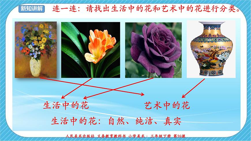 人美版美術(shù)三年級下冊第十六課《生活與藝術(shù)中的花》課件第7頁