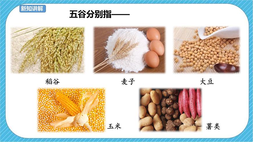 第3課 “五谷”作畫(huà) 課件第5頁(yè)