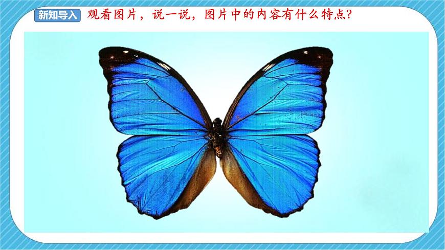 人美版 美術(shù) 四年級(jí)下冊(cè) 第六課《巧用對(duì)稱形》課件第2頁(yè)