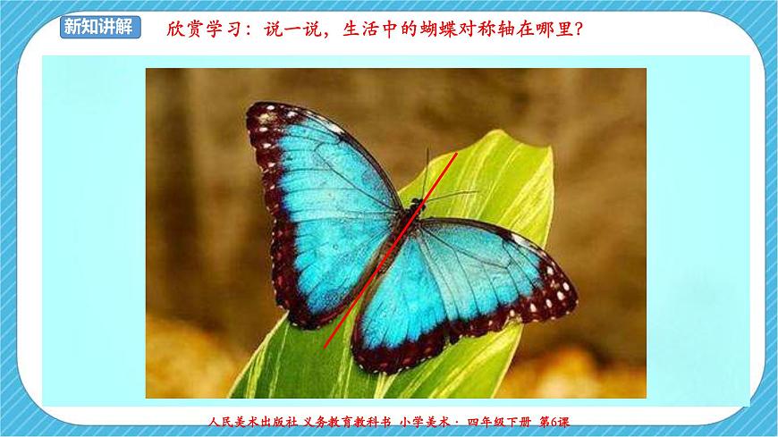 人美版 美術(shù) 四年級(jí)下冊(cè) 第六課《巧用對(duì)稱形》課件第7頁(yè)