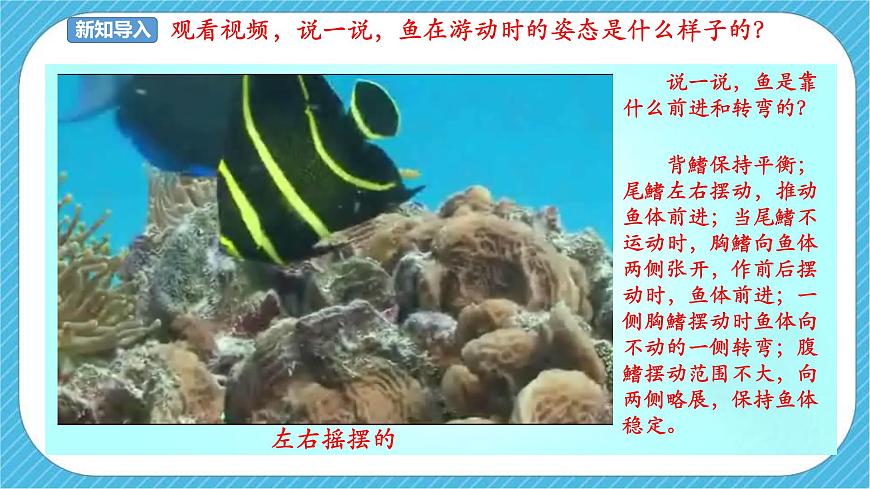 人美版 美術(shù) 四年級(jí)下冊(cè) 第九課《用彩墨畫(huà)魚(yú)》課件第2頁(yè)