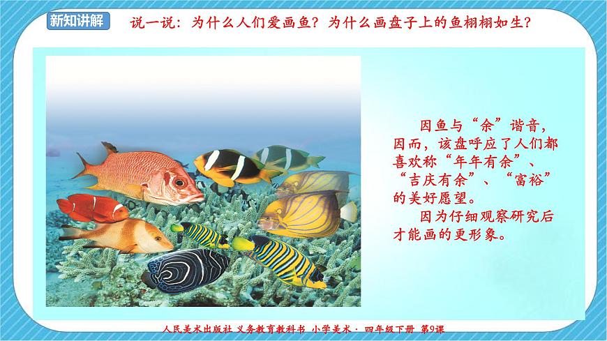 人美版 美術(shù) 四年級(jí)下冊(cè) 第九課《用彩墨畫(huà)魚(yú)》課件第7頁(yè)