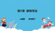 小学美术人教版五年级下册第5课 静物写生评优课ppt课件