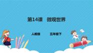 小学美术人教版五年级下册第14课 微观世界精品ppt课件