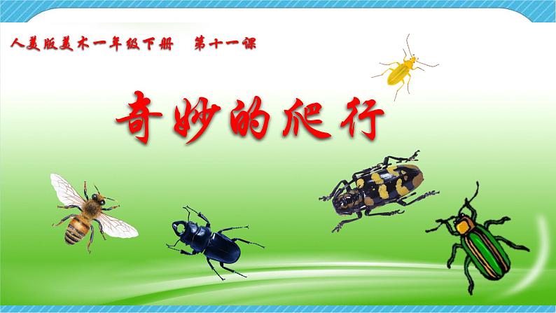 人美版美术一年级下册第十一课《奇妙的爬行》说课稿第2页