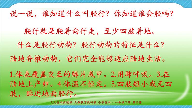 人美版美术一年级下册第十一课《奇妙的爬行》课件第4页