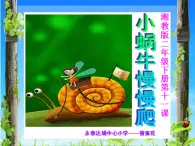 湖南美术出版社小学美术二年级下册11《小蜗牛慢慢爬》教学课件 - 复件