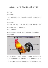 人美版四年级下册14.艳丽的大公鸡教案设计