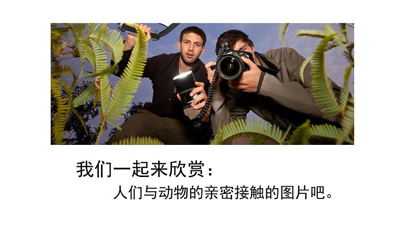 人美版一年级下册美术课件(可爱的动物)第4页