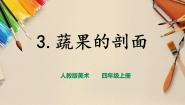 人教版四年级上册第3课 蔬果的剖面试讲课课件ppt