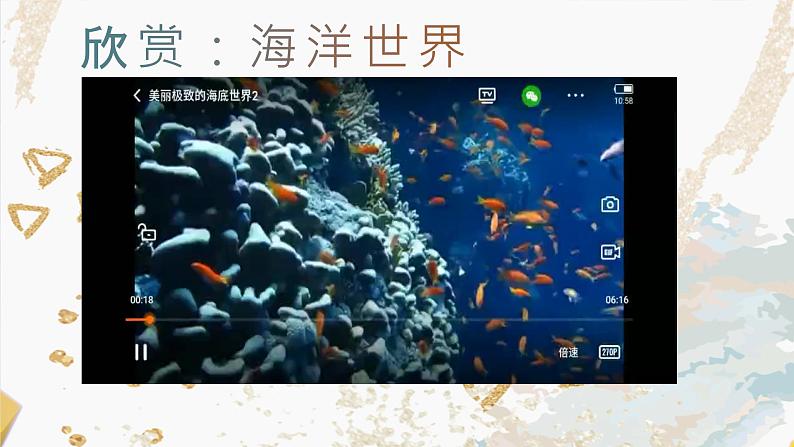 海洋世界课件第3页