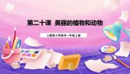 美术一年级上册第20课 美丽的植物和动物获奖ppt课件