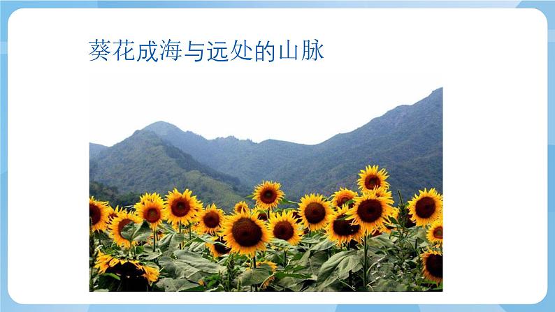 人教版美术三年级上册 4 前前后后 课件第7页