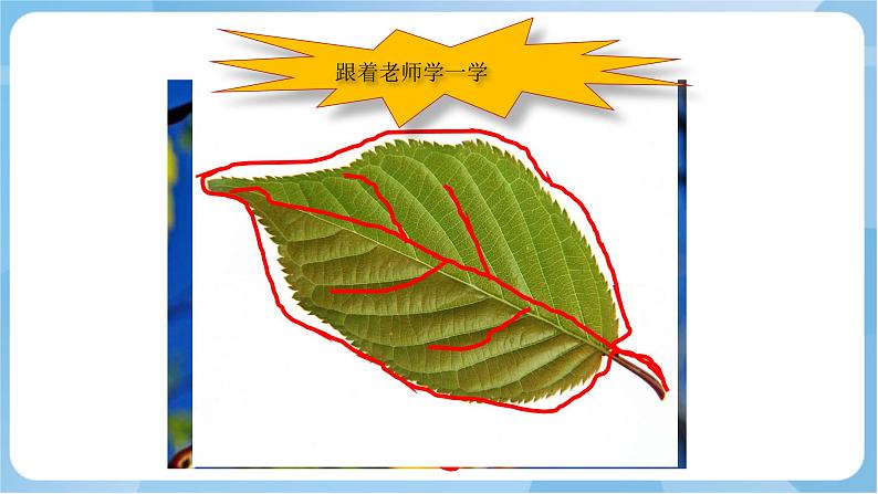 岭南版 小学美术二年级上册7.《 美丽的叶子》 (课件+教案+素材)08