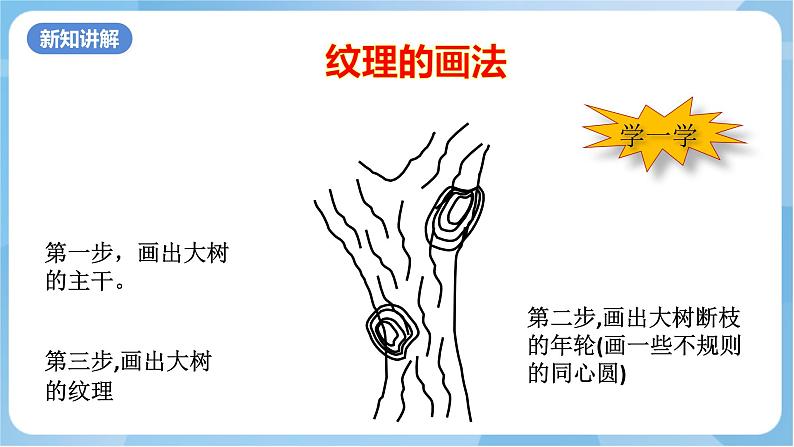 岭南版 小学美术二年级上册8.《给树爷爷画像》 (课件+教案+素材)07
