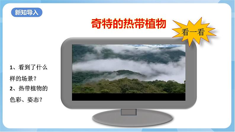 岭南版美术三年级上册14.《奇特的热带植物》(课件+教案+素材)02