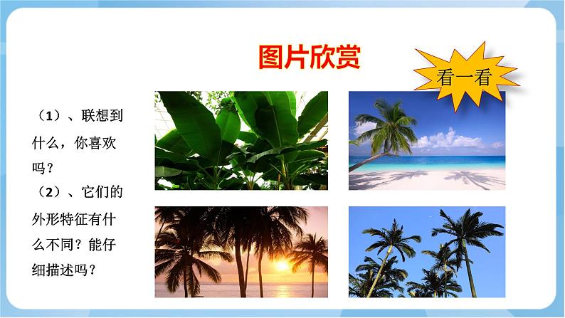 岭南版美术三年级上册14.《奇特的热带植物》(课件+教案+素材)05