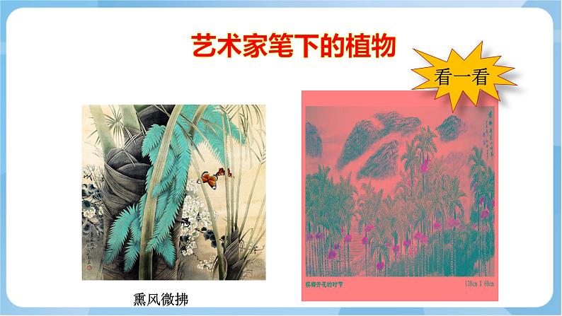 岭南版美术三年级上册14.《奇特的热带植物》(课件+教案+素材)07