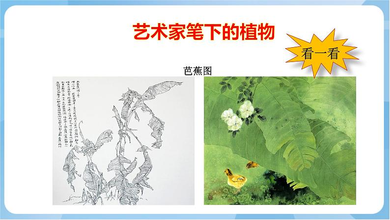 岭南版美术三年级上册14.《奇特的热带植物》(课件+教案+素材)08