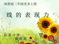 湖南美术出版社小学美术三年级上册 5. 线的表现力(3)课件PPT