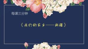 人教版五年级上册第3课 美丽的纹样课前预习ppt课件