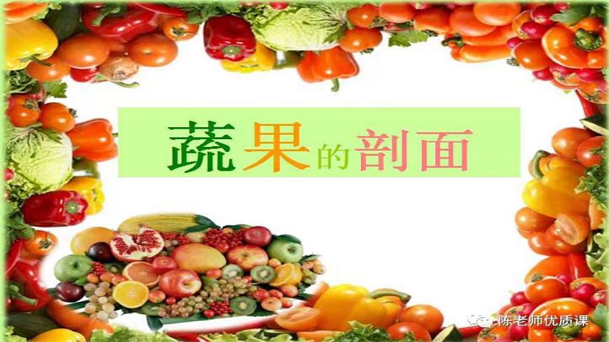 蔬果的剖面小學(xué)  美術(shù)  人教版  四年級(jí)上冊(cè)  第3課 蔬果的剖面課件PPT第1頁(yè)