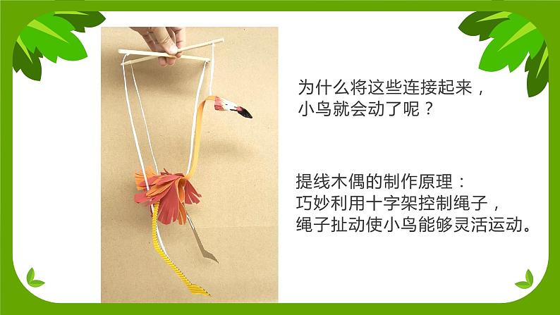 10《会跳舞的小鸟》 (课件+教案)03