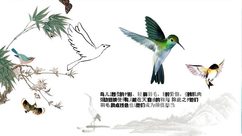 10《会跳舞的小鸟》 (课件+教案)05