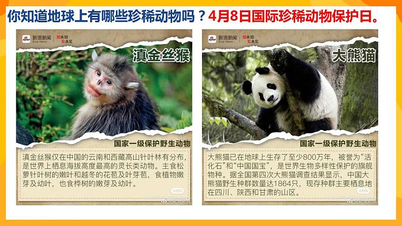 人美版美术一年级下册12《可爱的动物》课件04