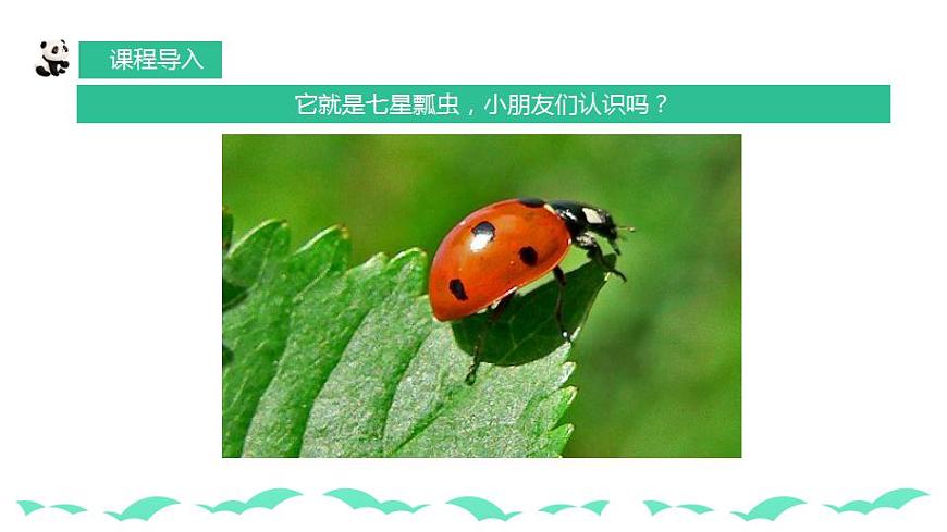 人教版小學美術一年級下冊 第8課《瓢蟲的花衣裳》課件第5頁