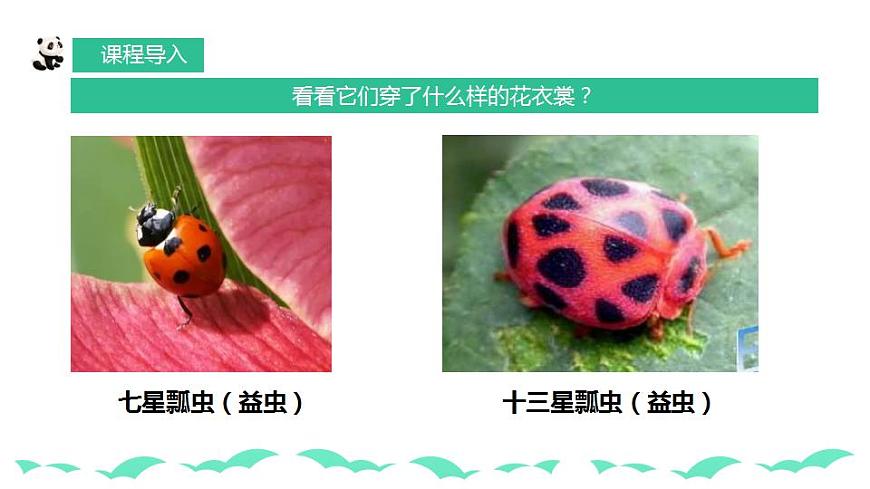 人教版小學美術一年級下冊 第8課《瓢蟲的花衣裳》課件第8頁