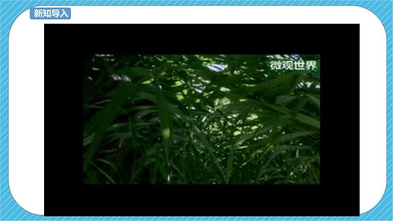 人教版美术五年级下册第14课 微观世界 课件04