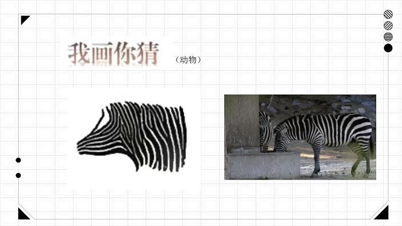 人美版美术一年级下册《我们身边的线条》课件第7页