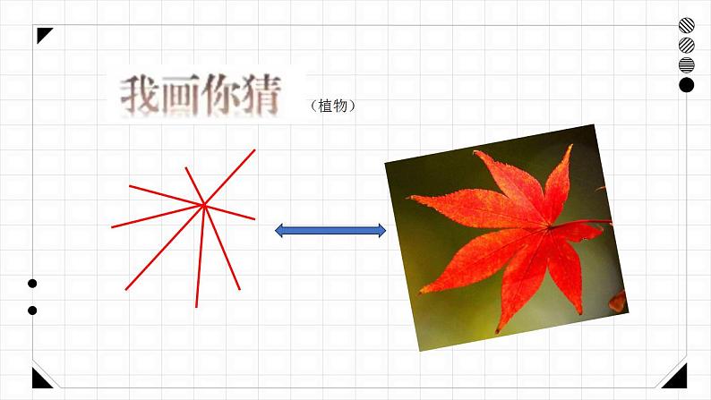 人美版美术一年级下册《我们身边的线条》课件第8页