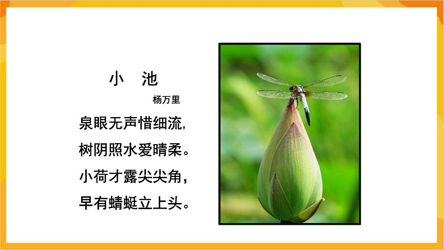 【核心素養(yǎng)】人教版美術(shù)二年級上冊 9 《蜻蜓飛飛》課件第7頁