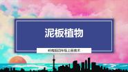 小学美术岭南版（2024）四年级上册3. 泥板植物优秀课件ppt