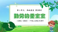 小学人教版(2024)第2课 勤劳的蚕宝宝集体备课ppt课件