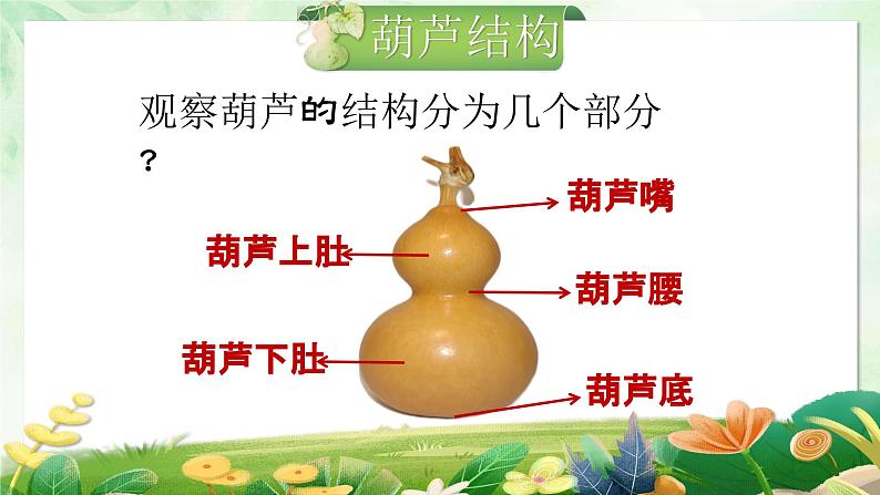 可爱的葫芦 课件第6页