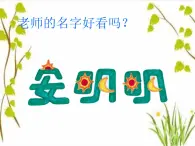 人教版美术二年级上册第3课　装饰自己的名字(4) 课件